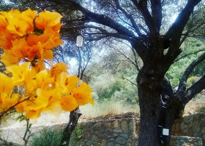 Ipekce 3* Mesudiye (Datca)